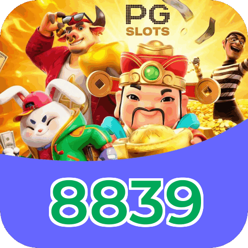 Interface 8839